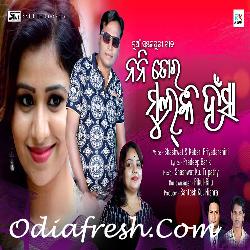 Nani Tor Mulki Hansa